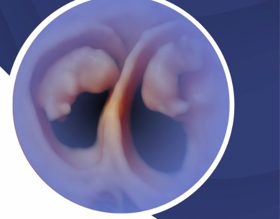 Multiple Pregnancy Symposium: Detection to Management